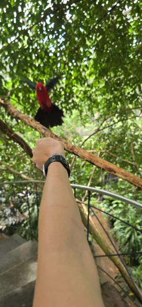 Экскурсию вел Абу. Отлично знает русский язык, с отличным чувством юмора, все подробно показывал и рассказывал