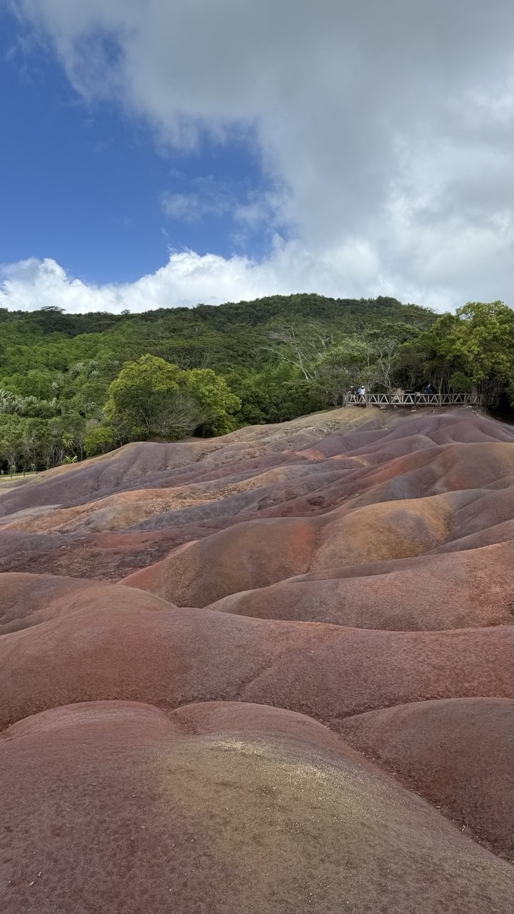 Чудеса природы на юге Маврикия (Елена)
