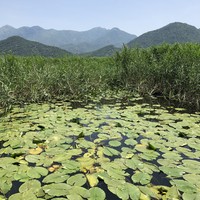 Фото отзыва 2: экскурсия "Из Тивата — к Скадарскому озеру!"