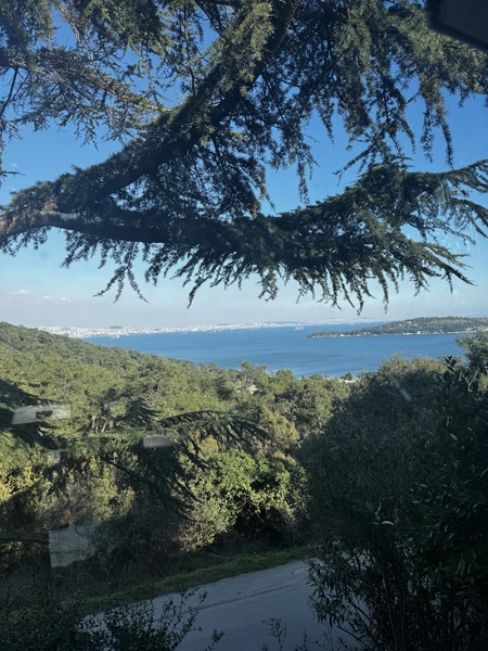 Отличный формат экскурсии для знакомства с островом Бююкада. На нем нельзя передвигаться на обычных автомобилях. Только