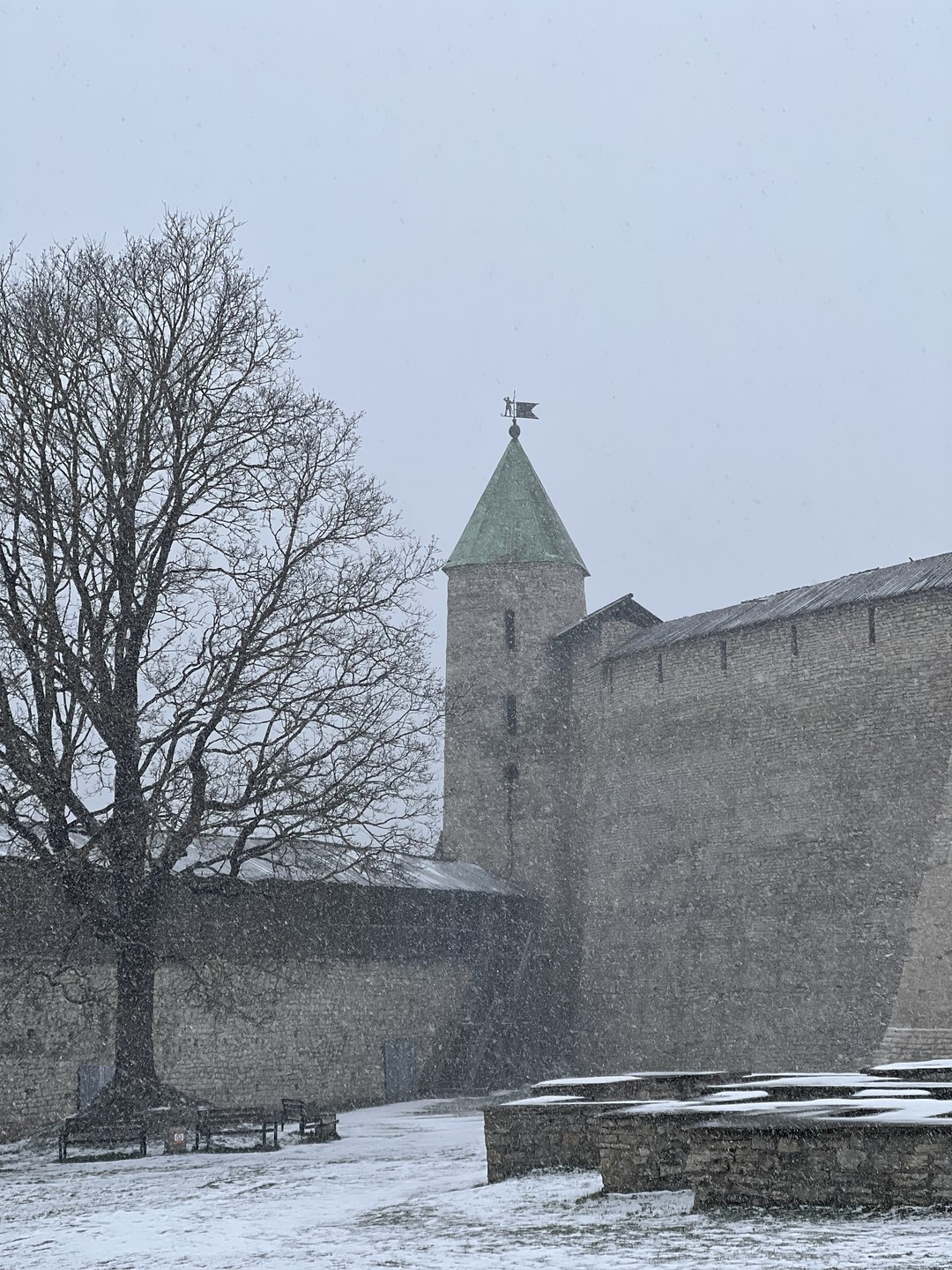 Обзорная пешеходная экскурсия по Кремлю и центру Пскова (Юлия)