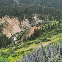 Фото отзыва 6: экскурсия "Озёра Каинды и Кольсай, Черный и Чарынский каньоны — все сокровища Алматы"