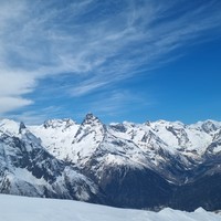 reviews img