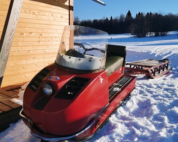 На санях по снежному лесу