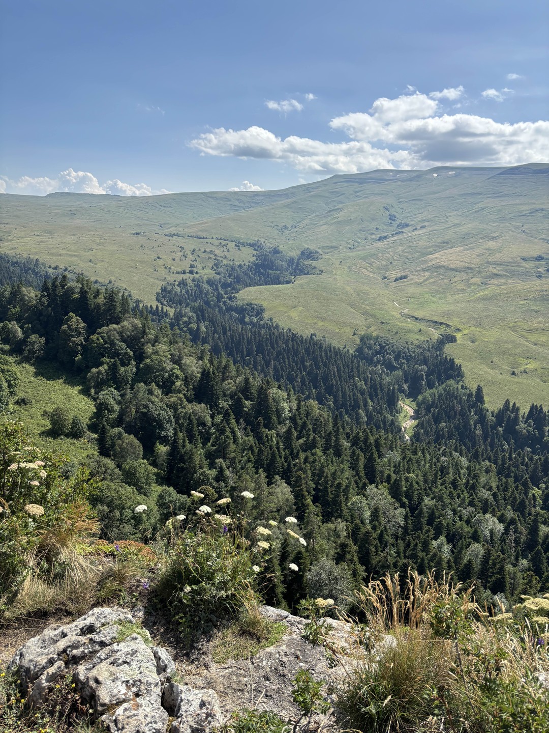 Горное плато Лаго-Наки: путешествие из Краснодара (Наталья)