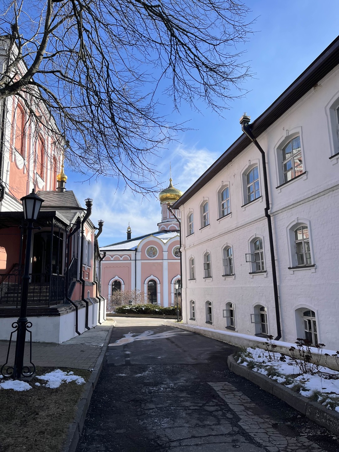 Спасибо большое Дмитрию, за интереснейшую экскурсию, материал подан интересно и понятно! Красота Иоанно-Богословского монастыря завораживает, а