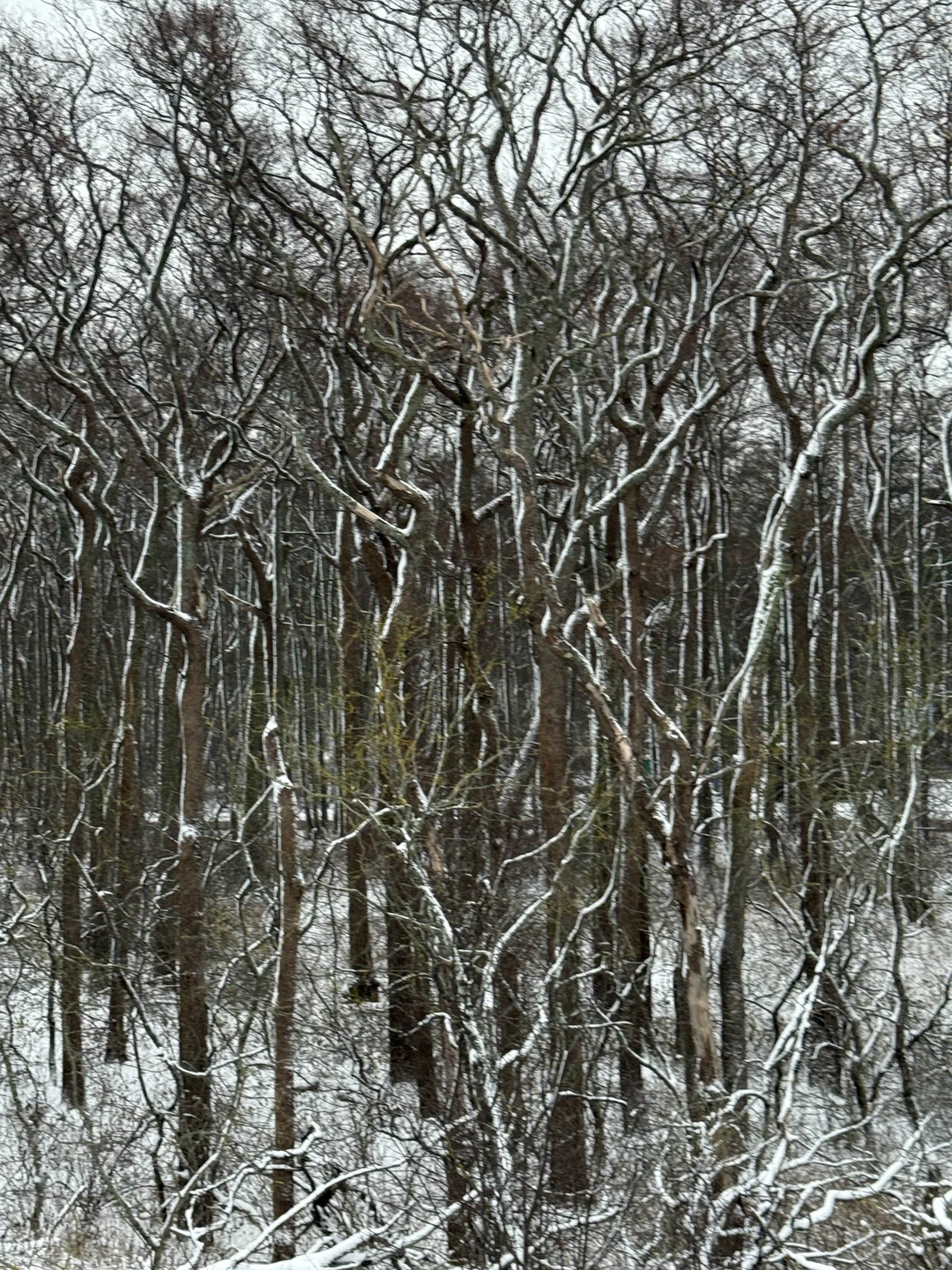 Класс, драйв, супер…. Нус, человек, влюбленный в свой город, в свой край, доставил массу удовольствия экскурсией,