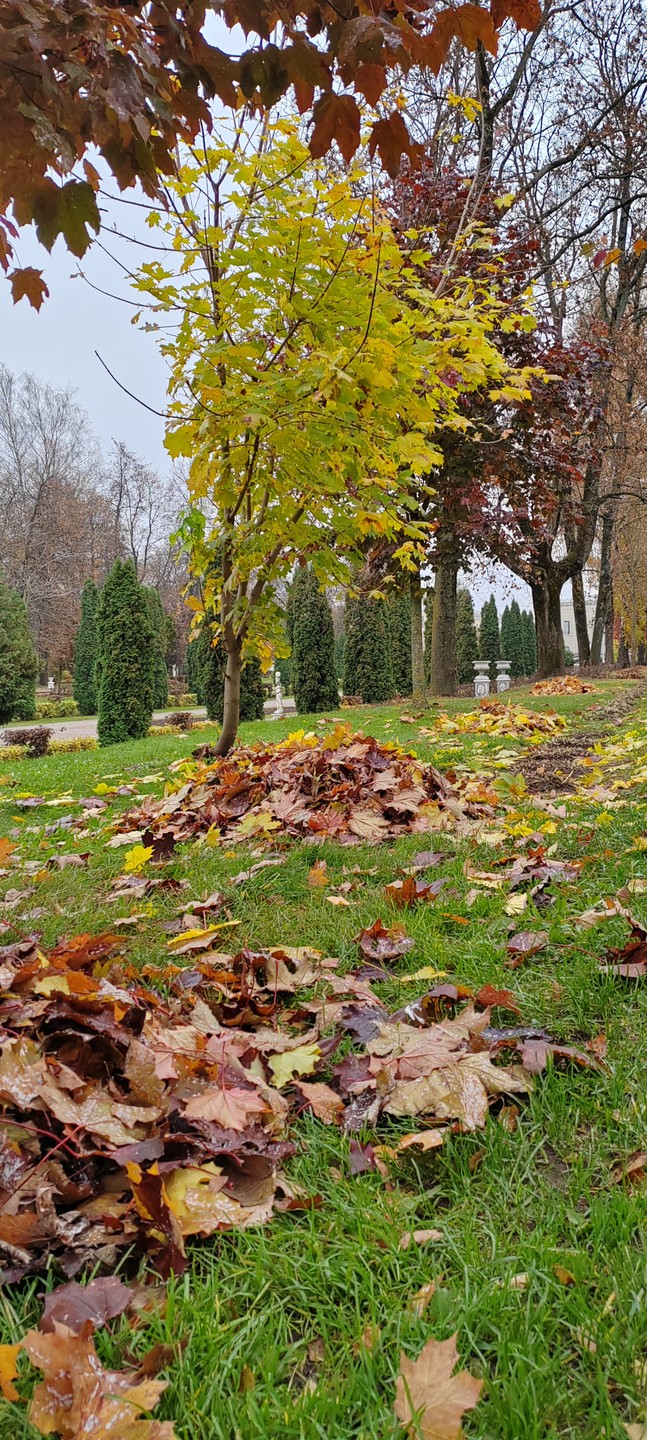 Замечательная экскурсия. Спасибо большое Анне. 👍 Мы окунулись в историю города Тверь. Узнали очень много интересных