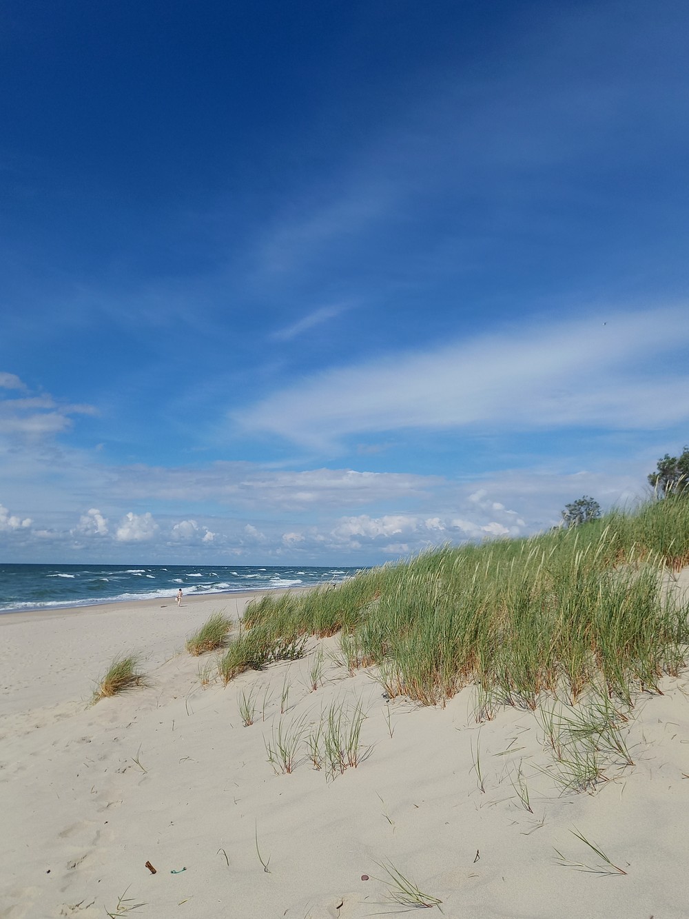 Главное изображение экскурсии - Путешествие по Куршской косе из Светлогорска