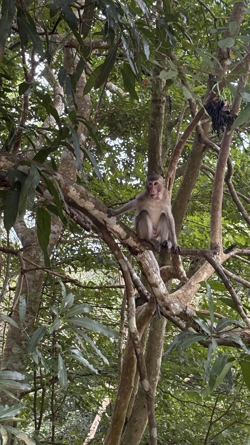 Михаил, спасибо большое за замечательную экскурсию! Время, проведенное с вами, пролетело словно в минуты теплого общения