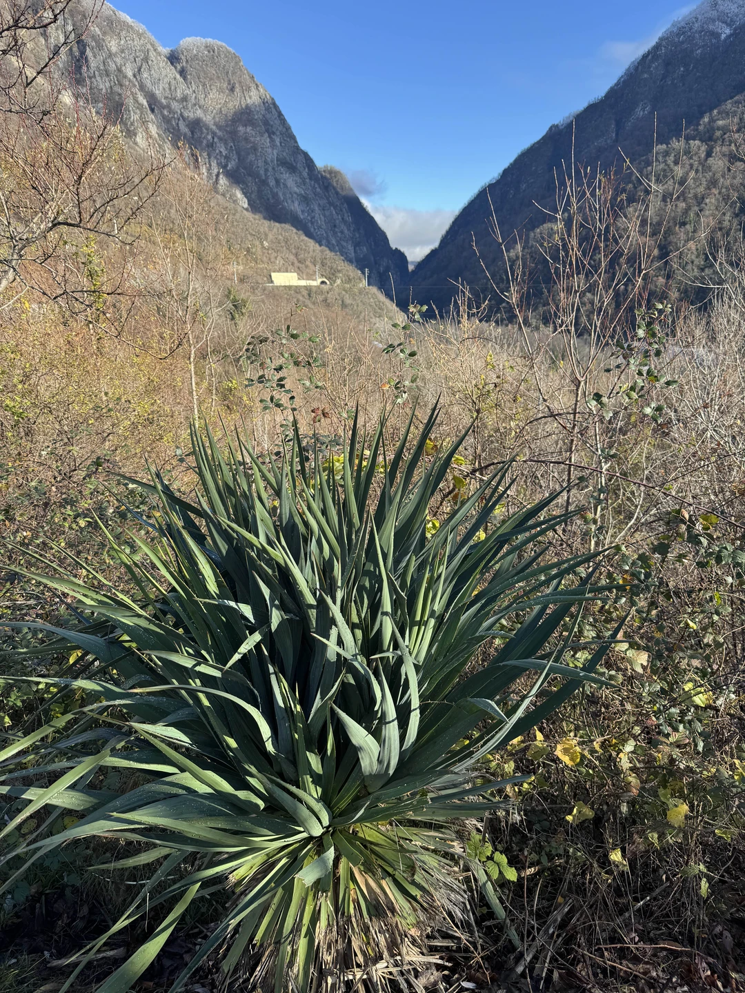 Очень понравился тур одного дня с гидом Ксения. Много услышали информации, посмотрели красивые места, большое спасибо