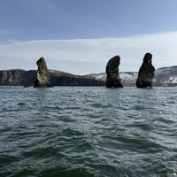 Фото отзыва 5: экскурсия "Путешествие к острову Старичков: морская рыбалка + крабовое сафари"
