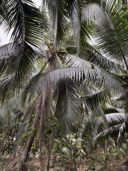 Нам очень понравилось, такая умиротворенная экскурсия, людей практически нет, сказка😍 Наш гид Лан - она вьетнамка