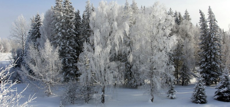 Фото отзыва 3: авторский тур "Забавы для всей семьи: лыжи, мастер-классы и зимние игры"