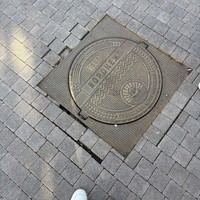 Фото отзыва 4: экскурсия "Воронеж с чистого листа. Индивидуальная экскурсия"