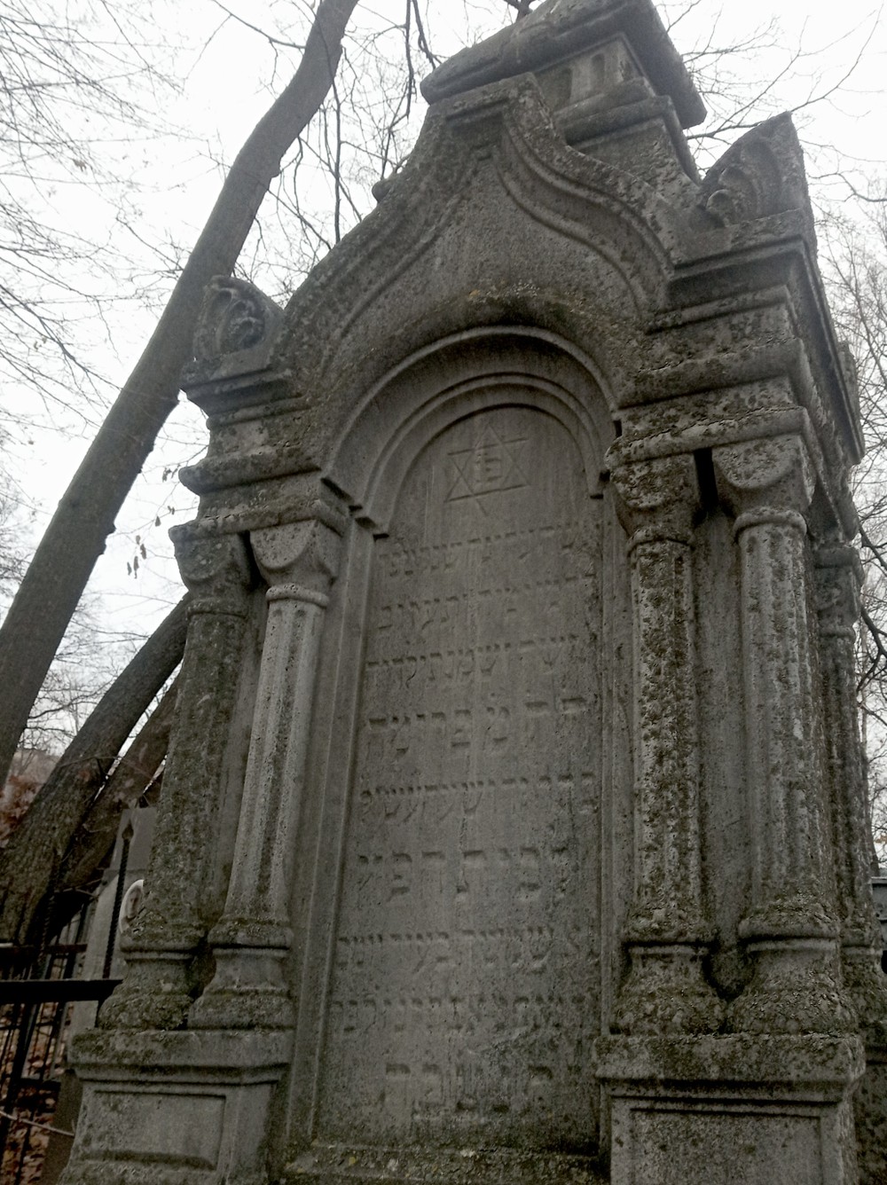 Тайны воронежского некрополя (5/7)