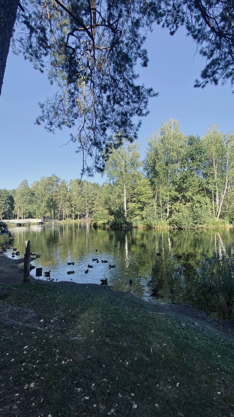 Отлично организованная экскурсия, прекрасно изложен материал, знакомящий с историей возникновения города и по настоящее время. Мы
