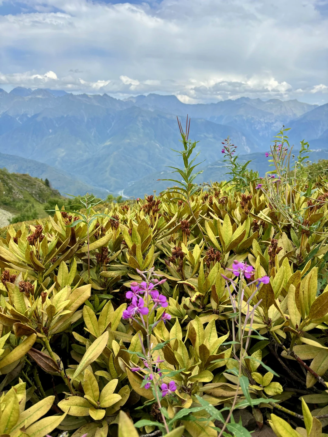 «Красная Поляна»: обзорная экскурсия (Svetlana)