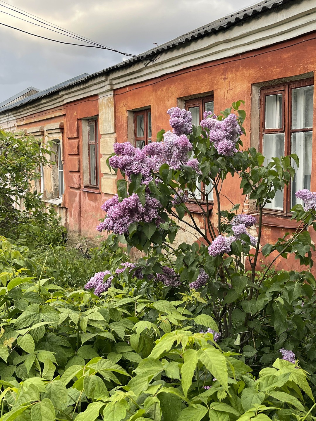 Очень понравилось 🥰