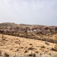 Фото отзыва 8: экскурсия "2 дня на озере Иссык-Куль: каньоны, горы и ледники"
