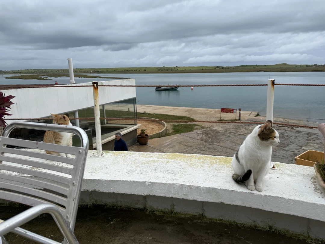 Фатально потрясающая поездка!!