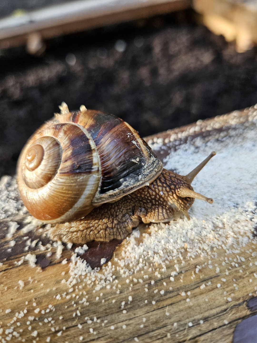 Замечательная поездка! Всё супер! Спасибо!