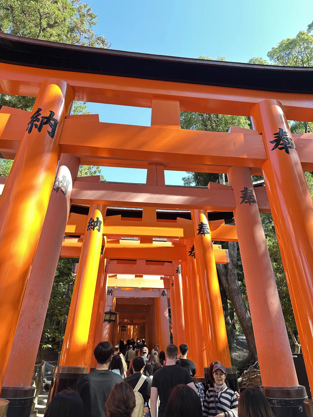 Экскурсионная программа очень понравилась. С Екатериной мы погуляли по району Гион и даже успели с дочкой