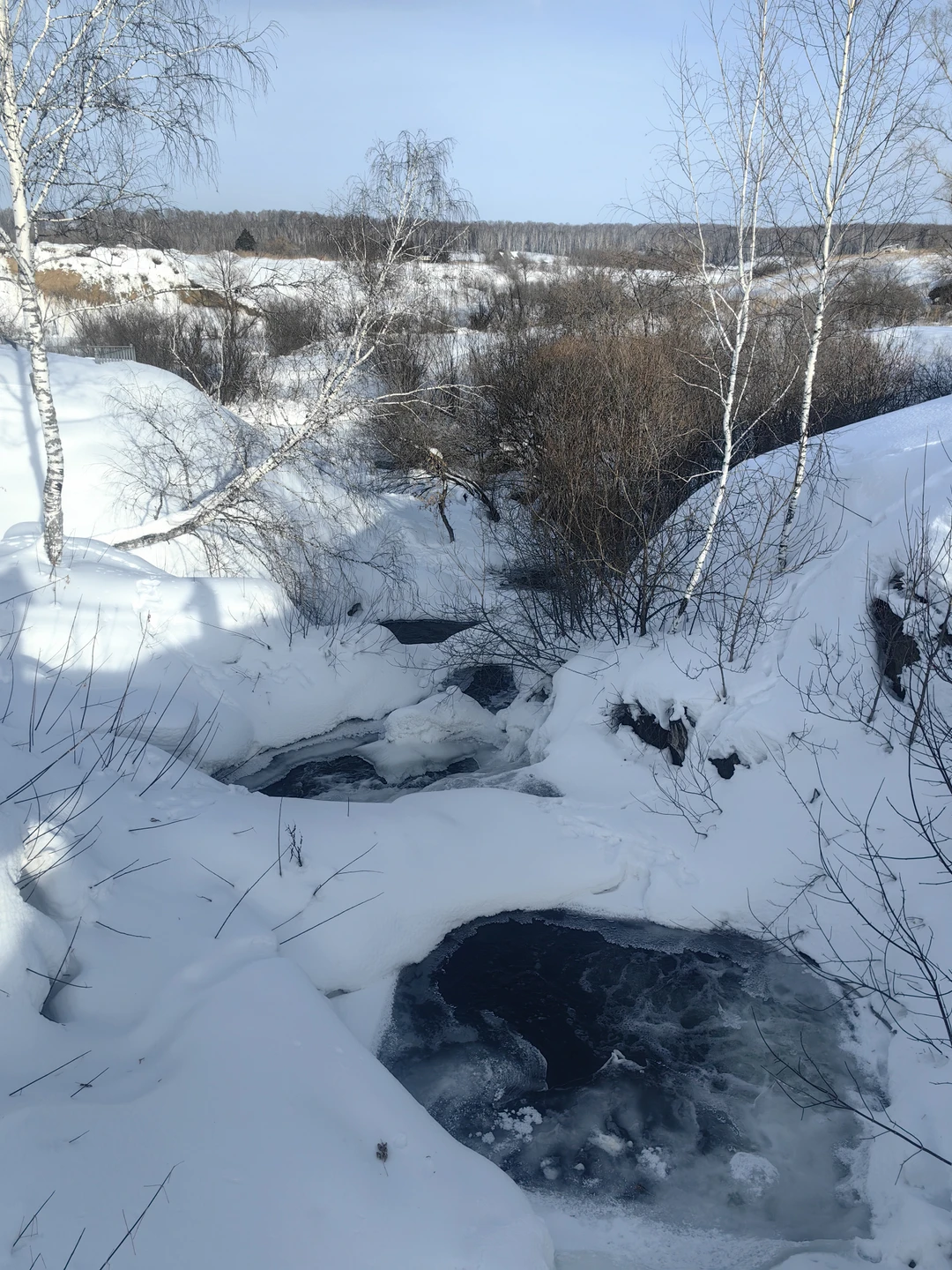 Организация прекрасна. Ольга прекрасный разказчик. Маршрут удобный, пешая часть не сложная. Отличным дополнением был обед в