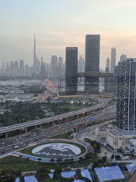 Дубай и Абу-Даби за 1 день (Viktoriia)