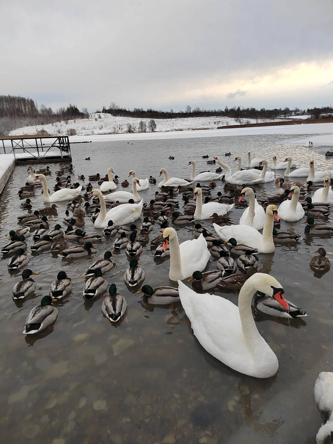 Никита очень эрудированный человек, знаток своего дела! А Елена с отличным чувством юмора и хороший водитель