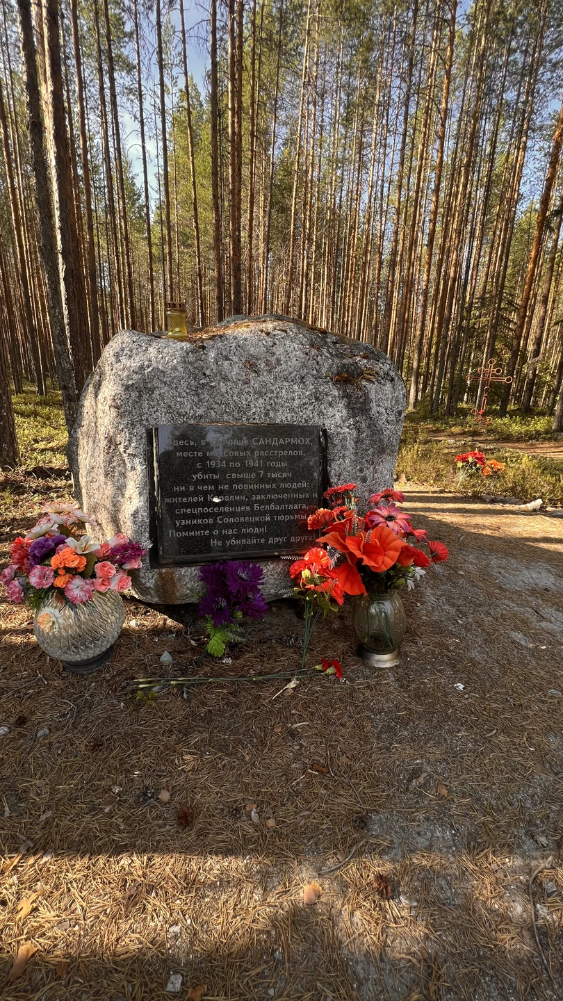 Знакомство с Медвежьегорском (Екатерина)