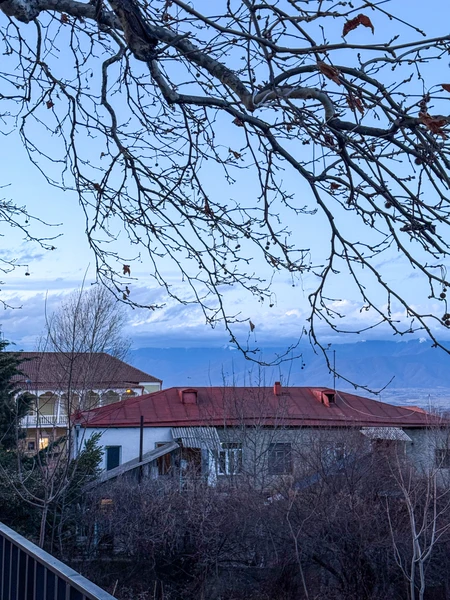 Экскурсия очень понравилась, Гоча много и с удовольствием рассказывает про историю, виноделие и интитут тамады в