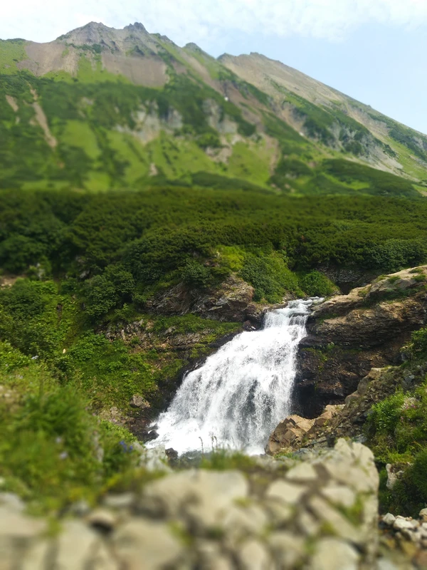 Завораживающий Вачкажец: хайкинг по медвежьим тропам