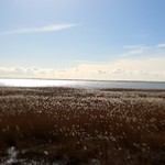 Аватар путешественника