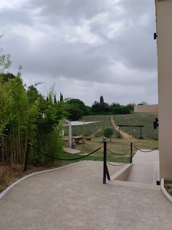 Лавандовые сны Прованса (из Марселя)