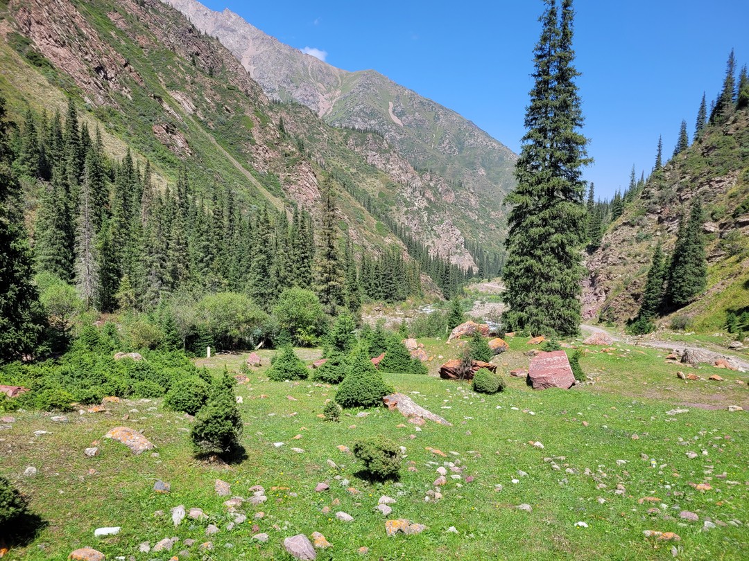 Гид - Юрий. Экскурсия прошла безупречно. Юрий великолепно владеет материалом, хороший собеседник. Хочется отметить увлекательно составленный