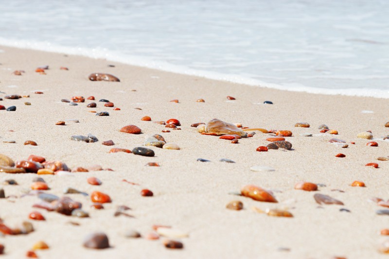 Виды Янтарь: солнечный талисман Балтики