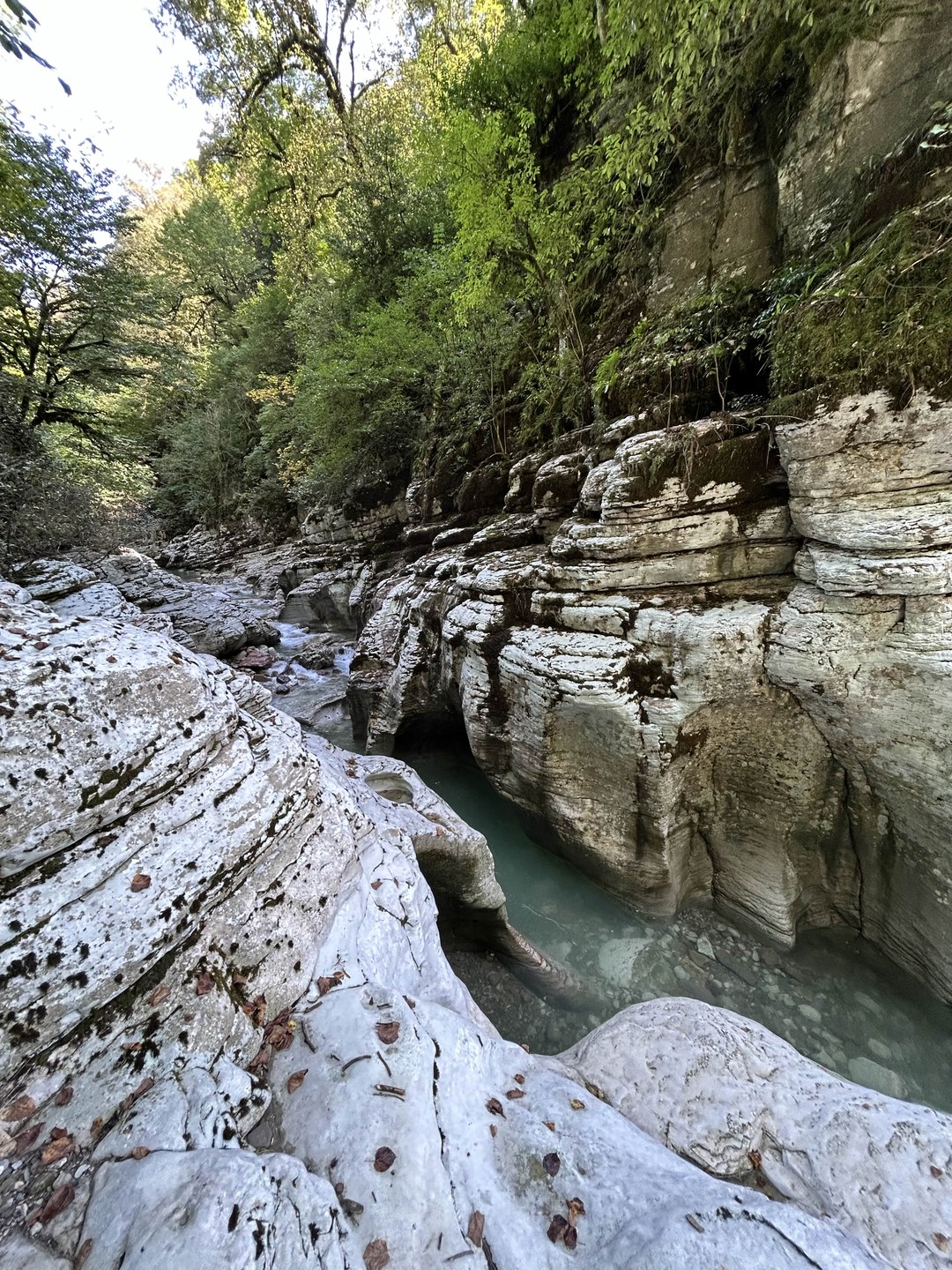 Спасибо большое Юрию за прекрасный трекинг!