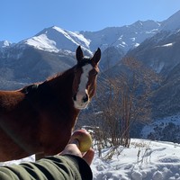 Фото отзыва 1: экскурсия "Путешествие в Осетию: башни, пироги и горы"