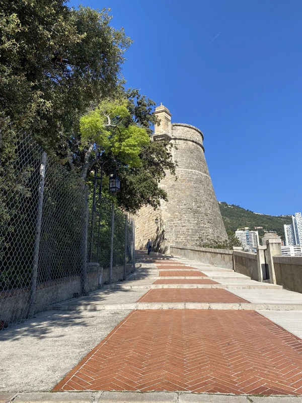 Шарм Лазурного Берега - из Канн