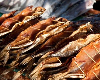 Фото отзыва 3: авторский тур "От Листвянки до Хобоя: тур по главным местам Байкала"