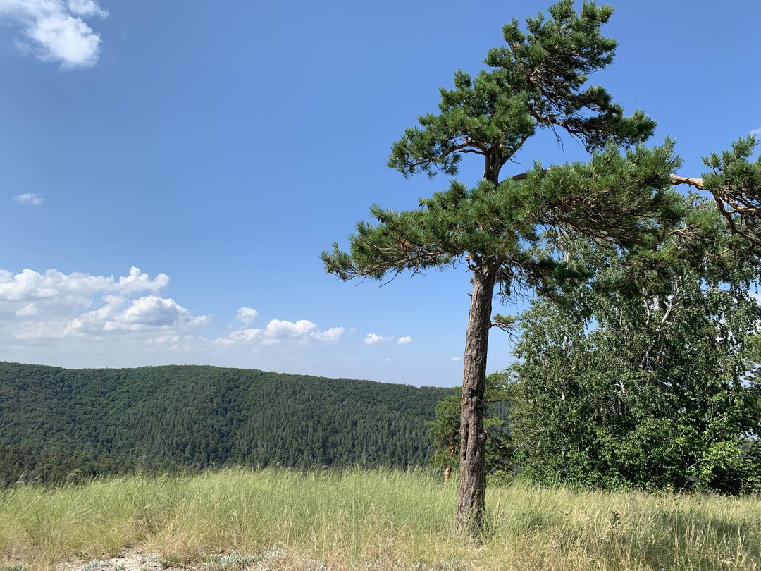 Самарская Лука: влюбиться в волжские панорамы (Valeriia)