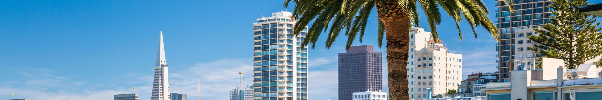 Соединённые Штаты Америки