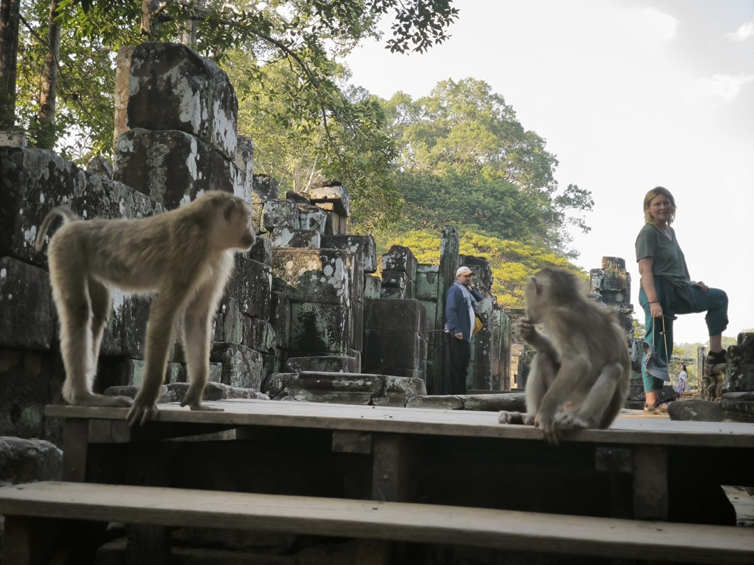 Великолепный гид! Одн из лучших в моем опыте (а опыт достаточно большой). Компетентность, глубина знаний в