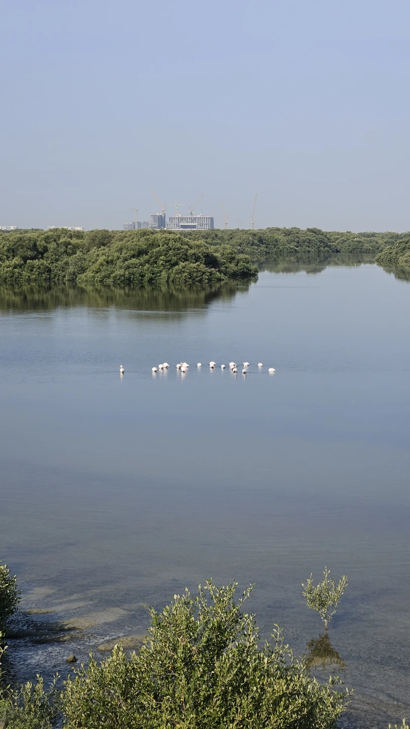 Очень понравилась экскурсия! В комфортном темпе, интересные места. Посмотрели настоящие Эмираты, пообедали и отдохнули на побережье