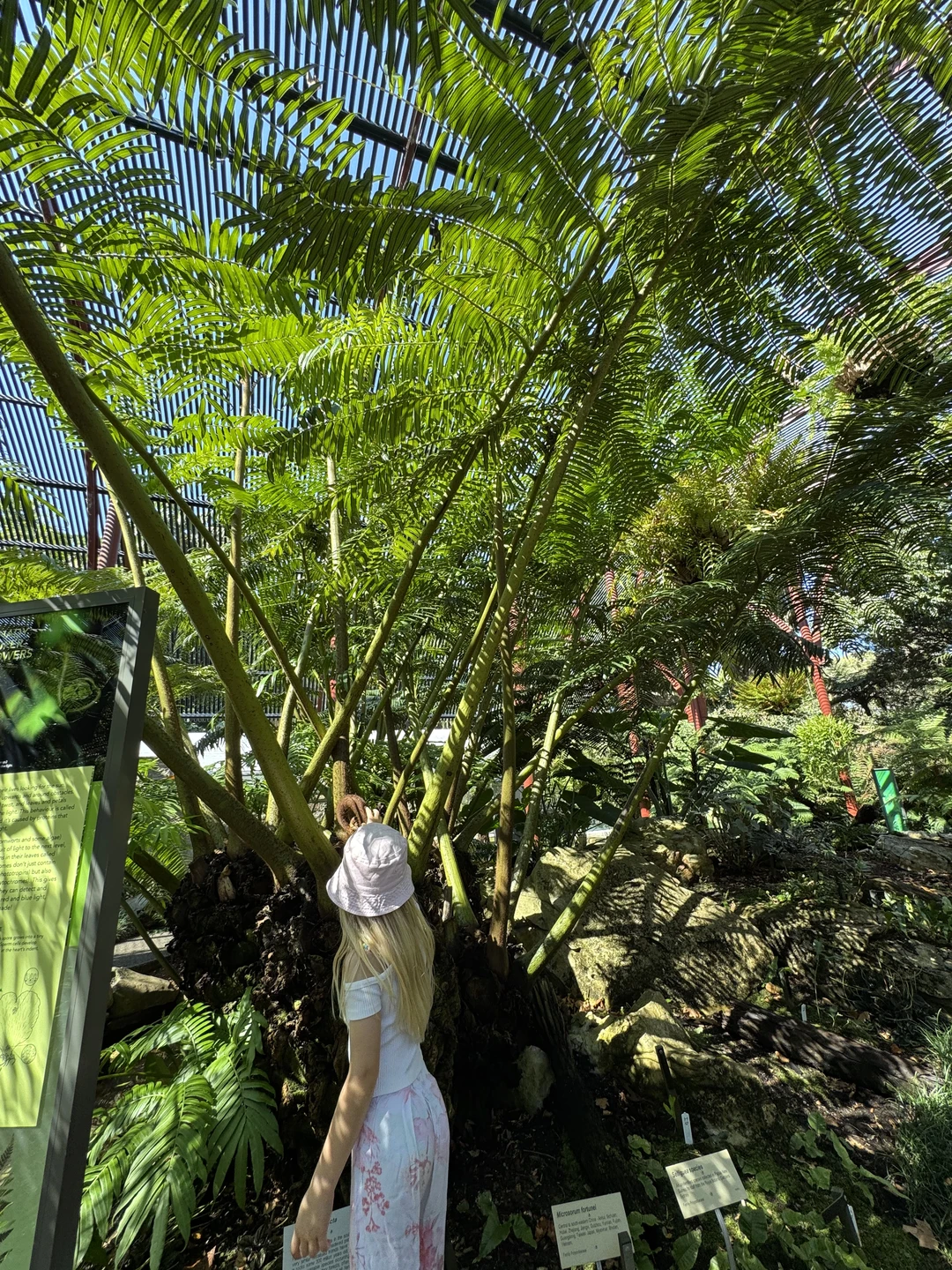 Увлекательно, познавательно, всё просто замечательно) Приехать в Сидней без знания английского - та ещё авантюра, но