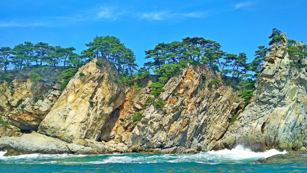 Мыс Сосновый – скалы, тюлени и сосны (7/11)