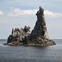 reviews img