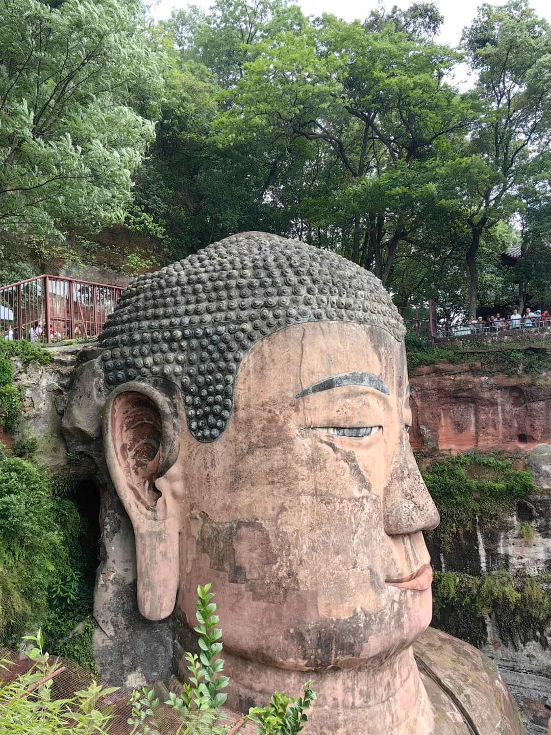 Посетив Чэнду в рамках рабочей поездки компанией из 4х человек, мы решили выделить день и посмотреть