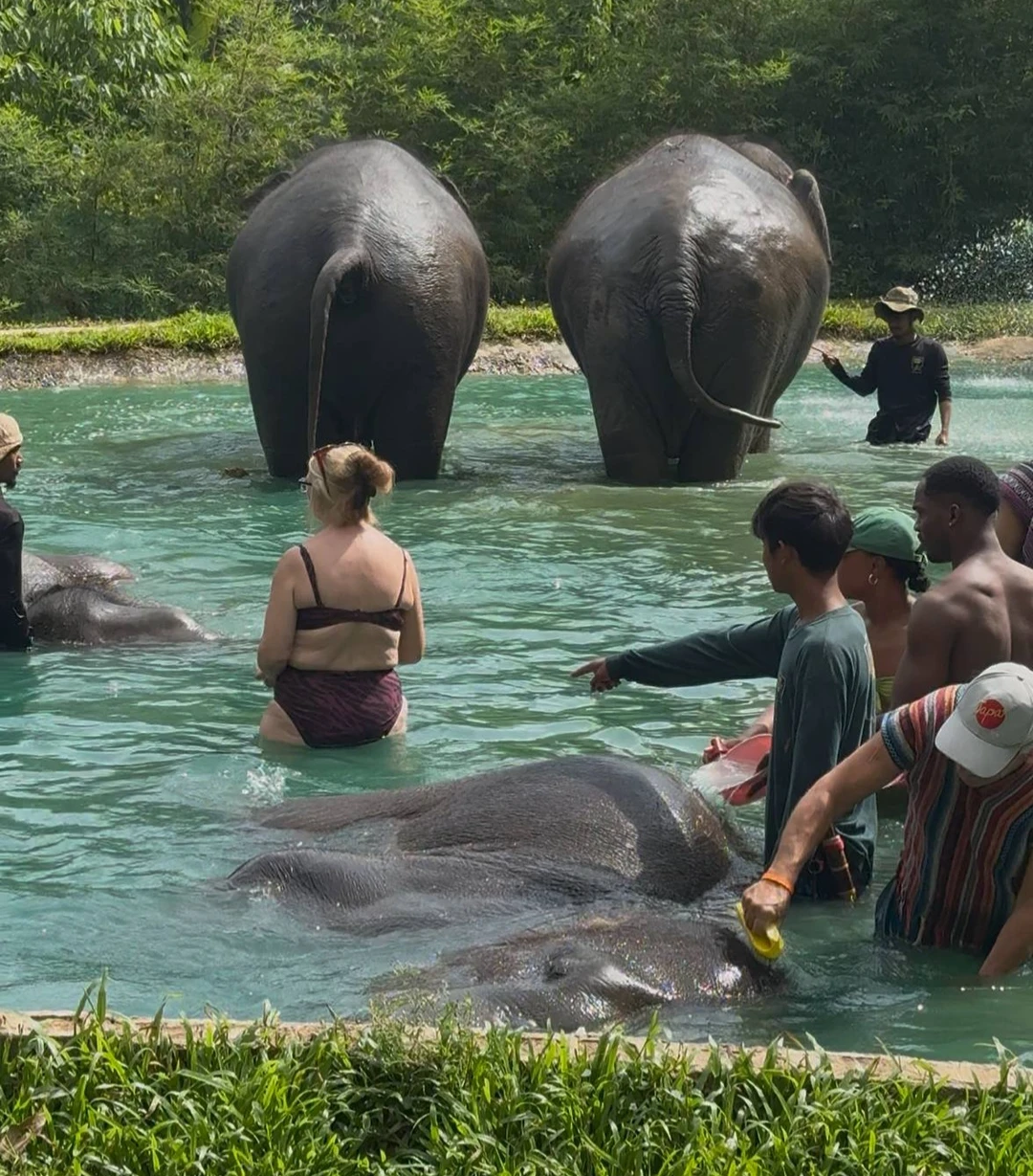 Были на экскурсии 14.11.25, заповедник: Phuket Elephant care. Отмечу очень удобное время старта - 12ч. дня